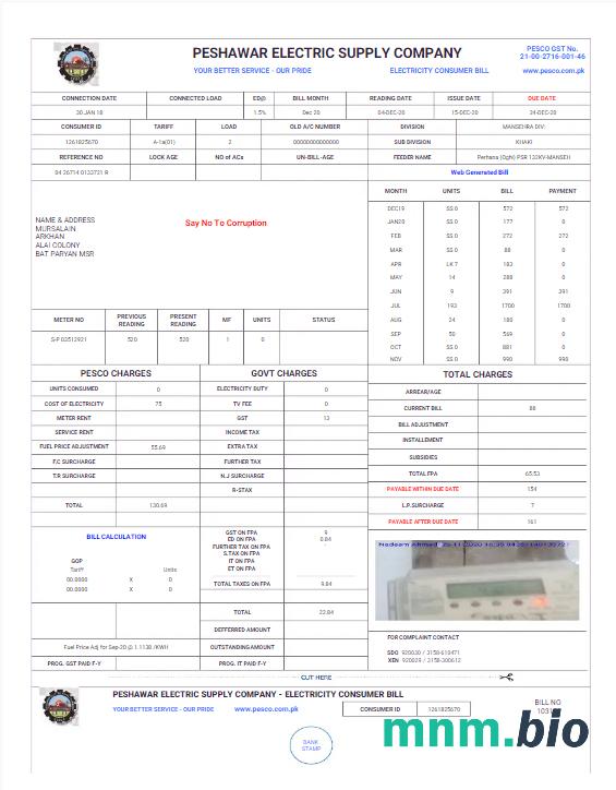 Pakistan Peshawar Electric Supply Firma rachunek za media Word i PDF template